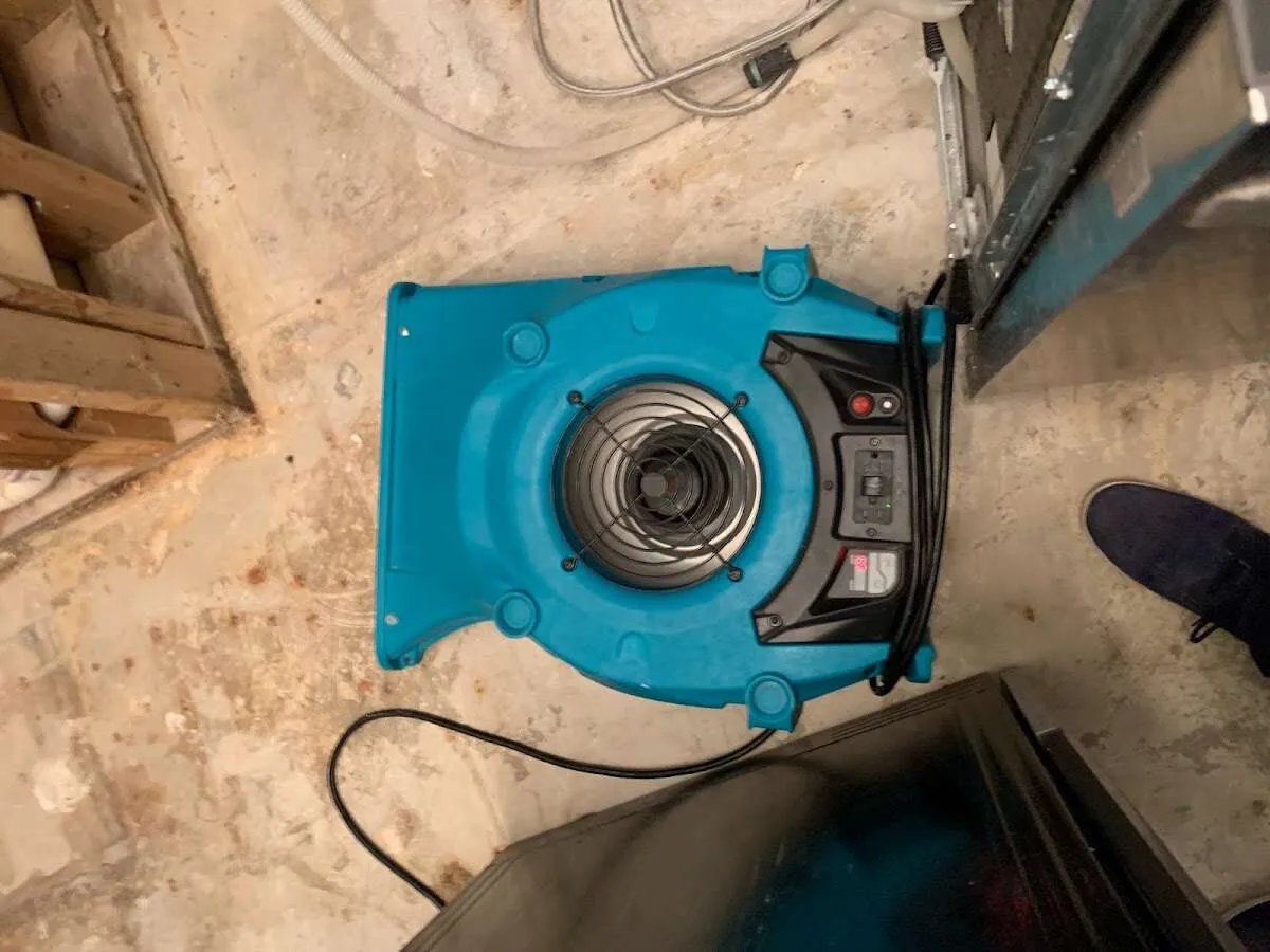 Air mover drying equipment for Mold Remediation & Removal in Bothell East
