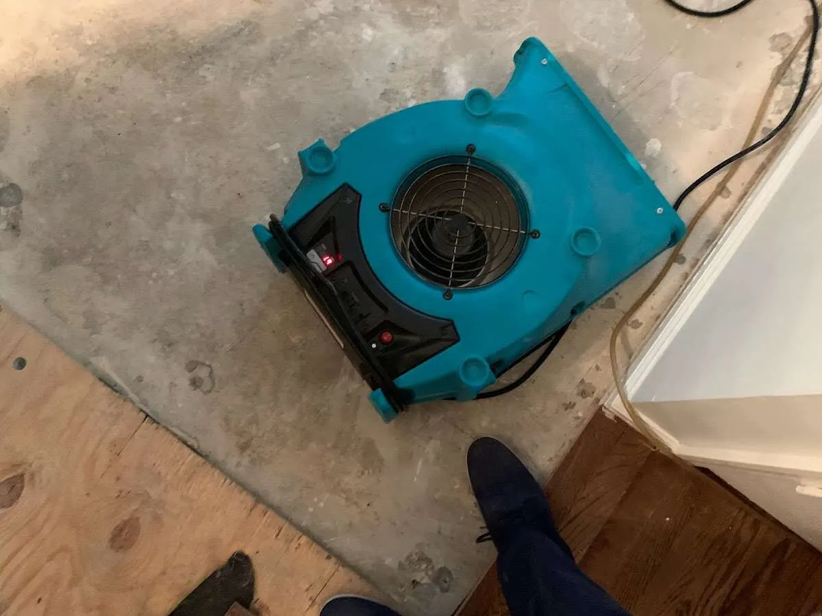 Air mover drying subfloor during Commercial Water Damage Restoration in Bothell East